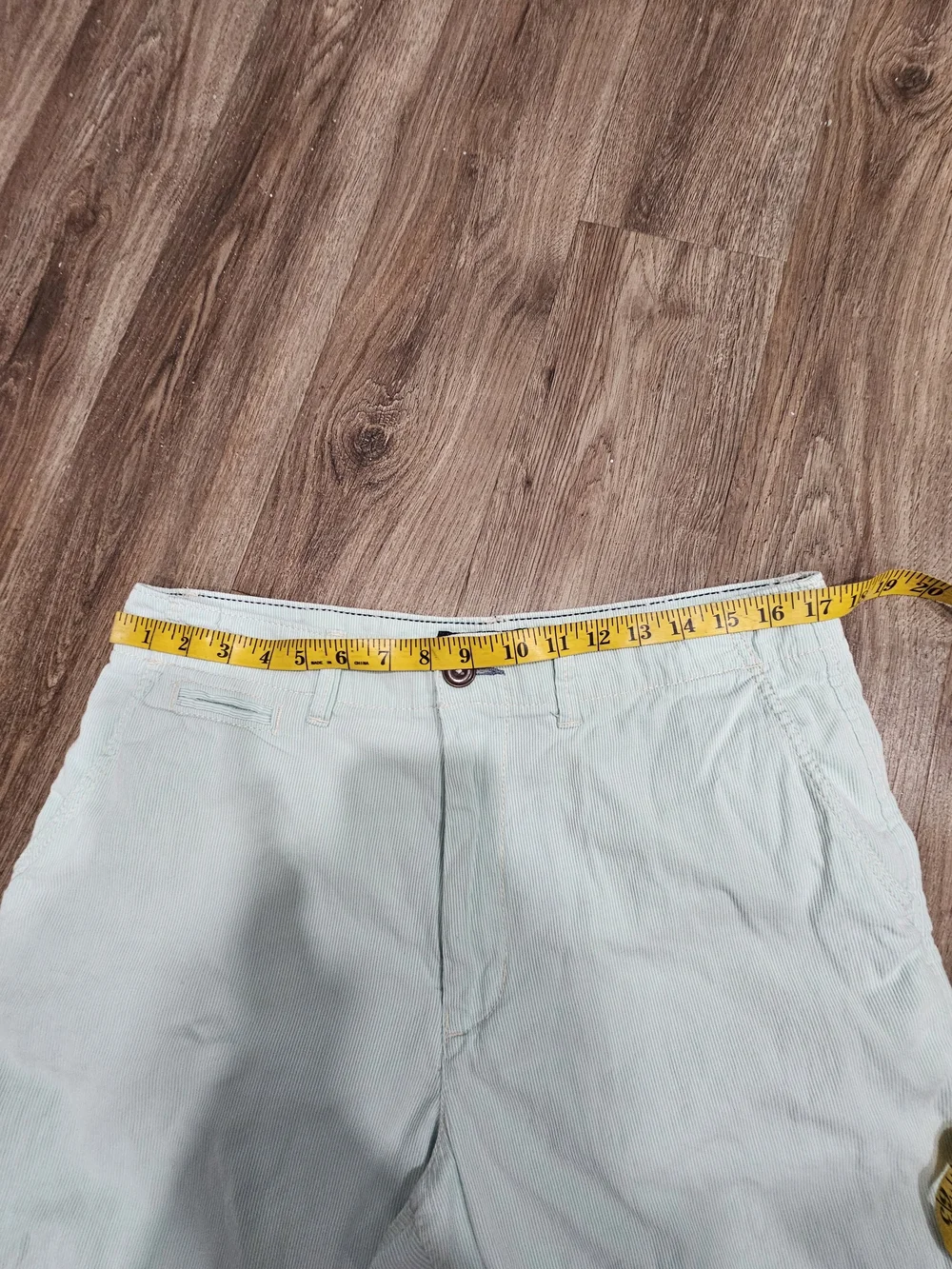 American Eagle Outfitters Mint Green Flat Front Men's Shorts